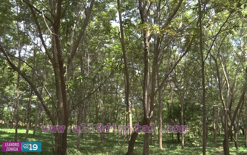 parque-adolescente